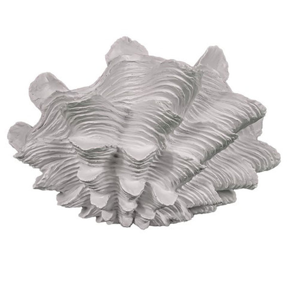 Clam Shell Frilled Sculpture