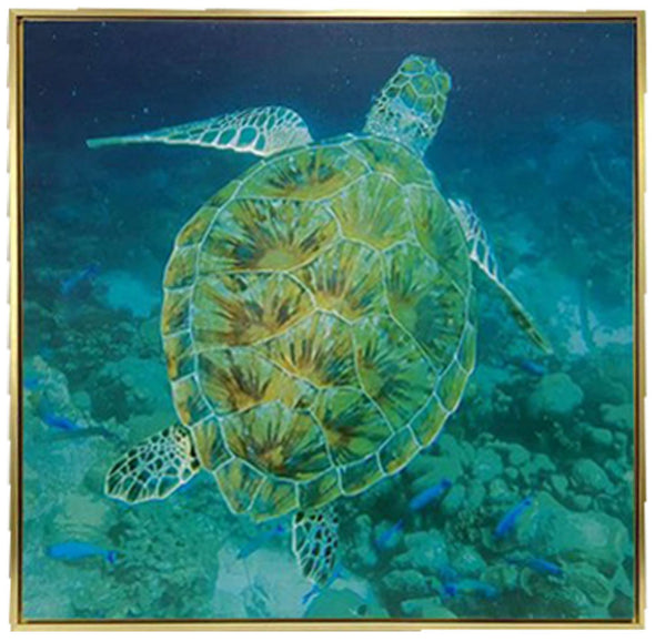 Sea Turtle Swim Photo Framed Art