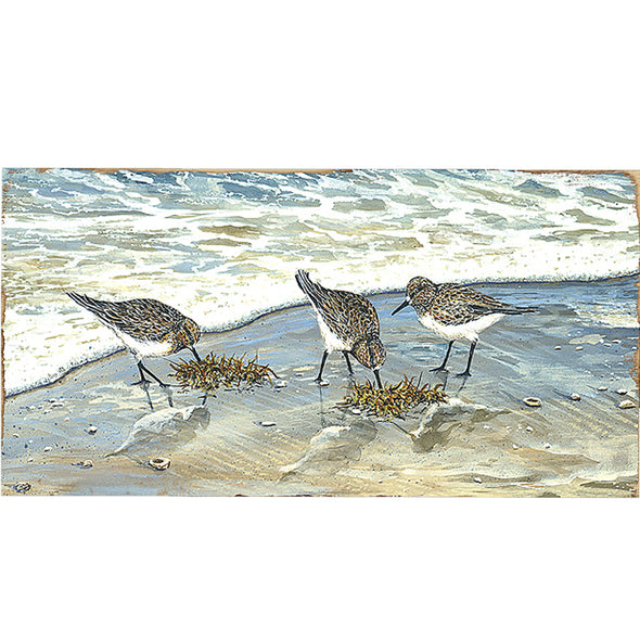 Sandpiper Trio Counter Height 24"  Barstool