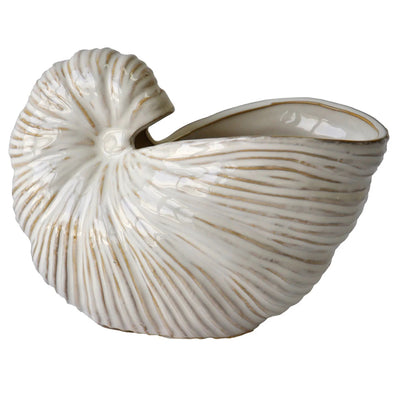 Nautilus White Shell Vase