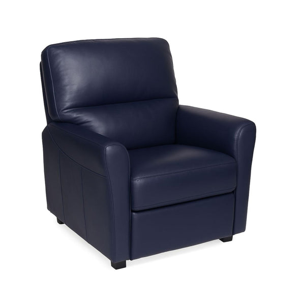 Sapphire Power Lift Recliner