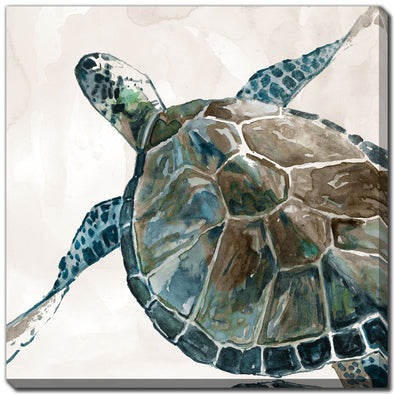 Blue Sea Turtle Canvas Art