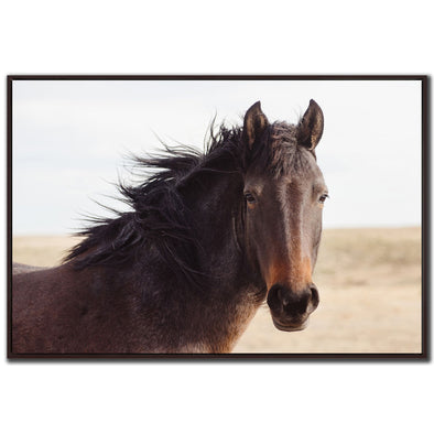 Brown Horse Framed Canvas Art